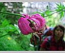 DSCN6639.JPG