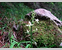 DSCN6691.JPG