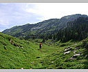 DSCN6705.JPG