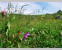 DSCN6709.JPG