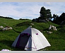 DSCN6714.JPG