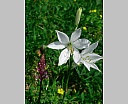 DSCN6802.JPG