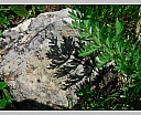 DSCN6807.JPG