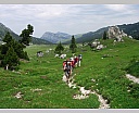 DSCN6814.JPG
