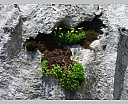 DSCN6819.JPG