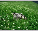 DSCN6827.JPG