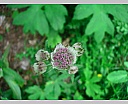 DSCN6846.JPG