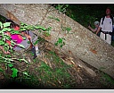 DSCN6851.JPG