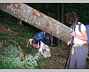 DSCN6856.JPG