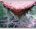 DSCN6863.JPG