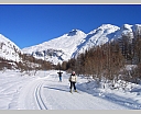 DSCN7253.JPG