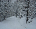 DSCN7304.MOV