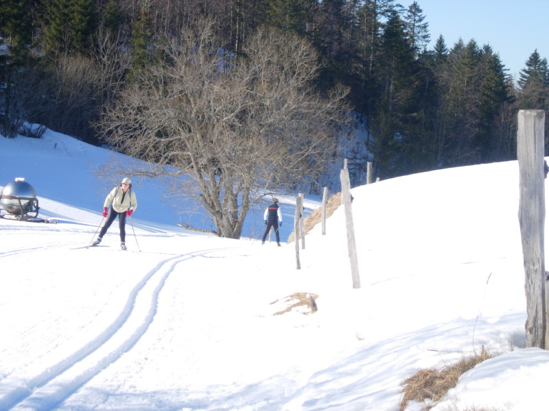 dscn7307.jpg
