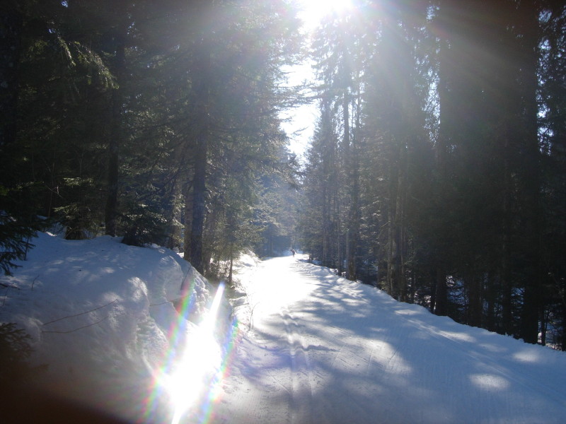dscn7314.jpg