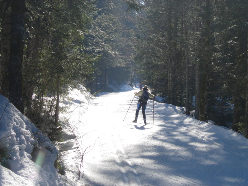 dscn7316.jpg