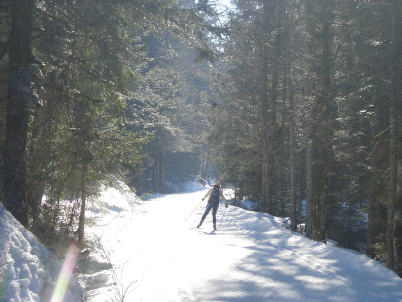 dscn7317.jpg