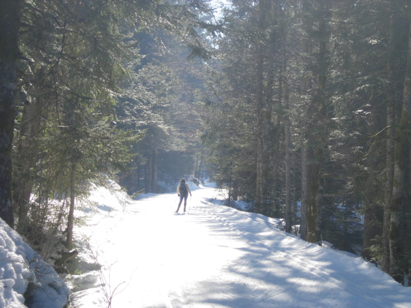 dscn7318.jpg