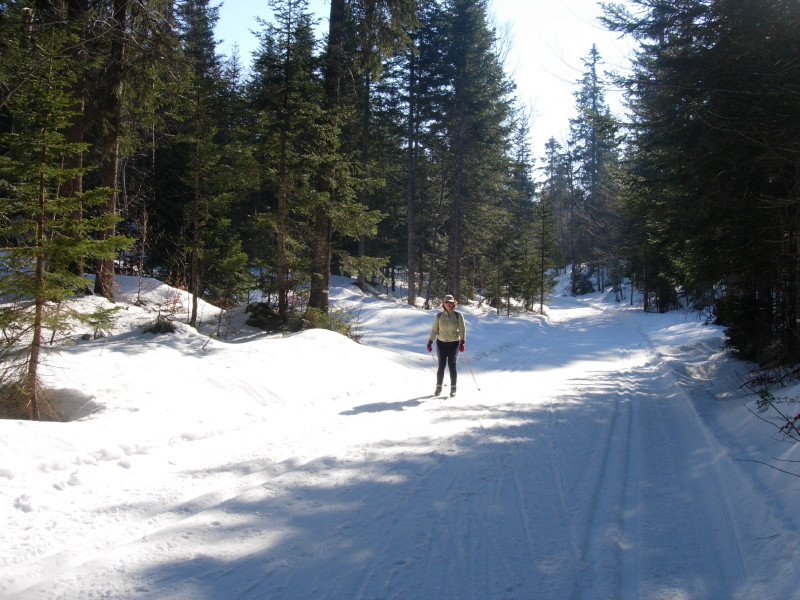 dscn7319.jpg