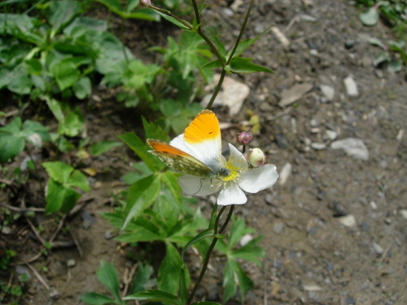 dscn7819.jpg