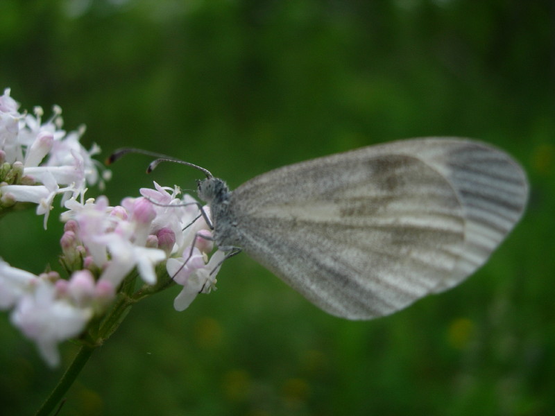 dscn7825.jpg