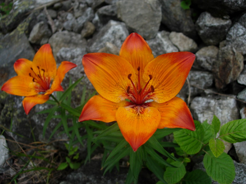 dscn7828.jpg