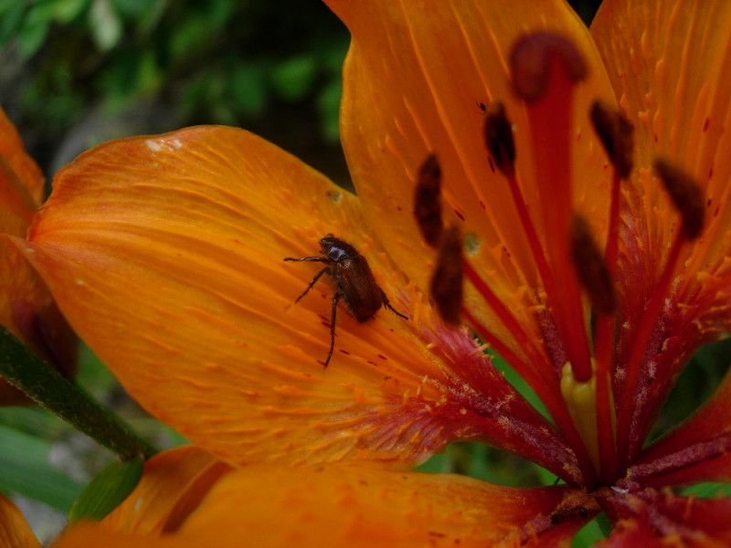 dscn7831.jpg