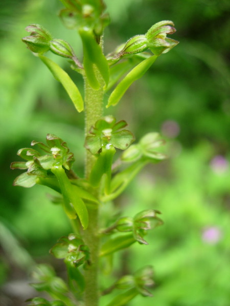 dscn7837.jpg