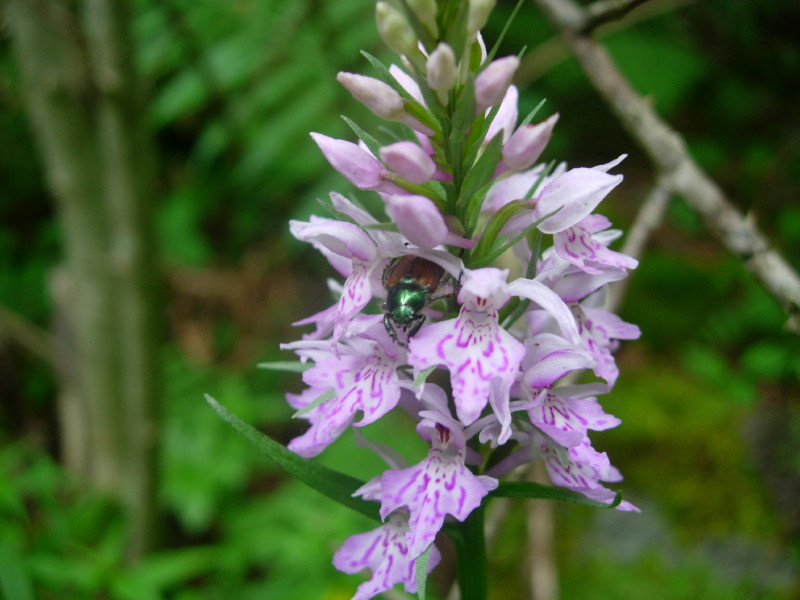 dscn7841.jpg