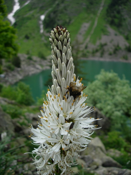 dscn7844.jpg