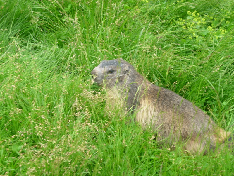 dscn7845.jpg