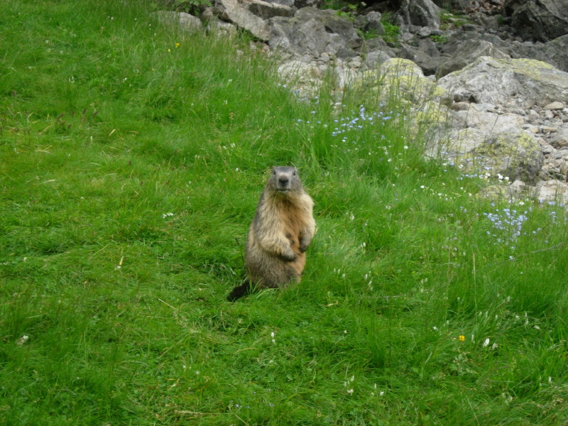 dscn7848.jpg