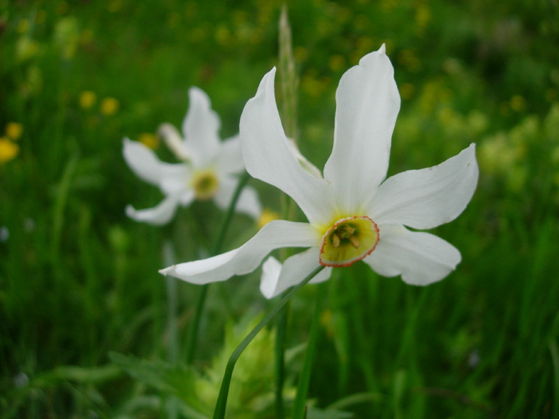 dscn7852.jpg