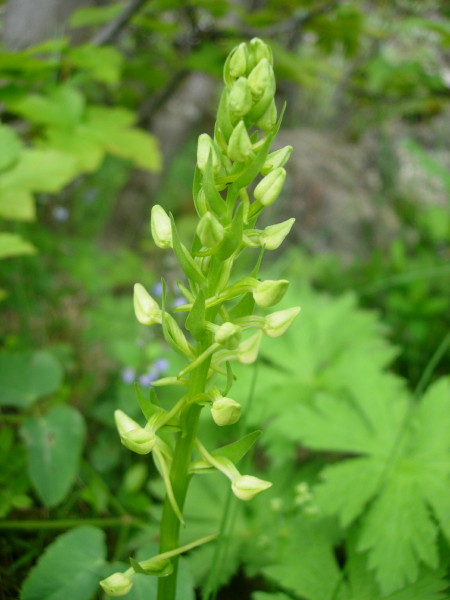 dscn7858.jpg
