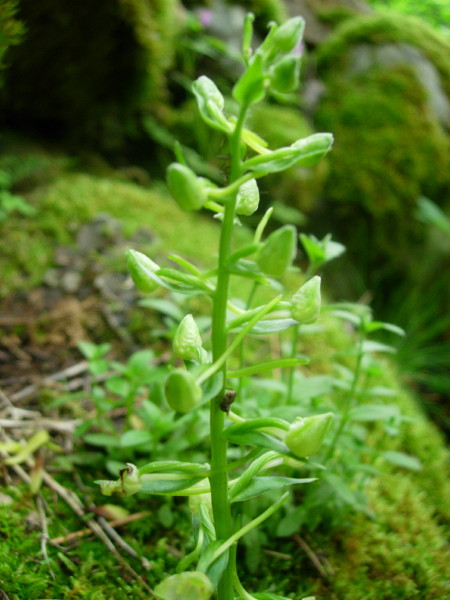 dscn7866.jpg