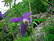 dscn7856