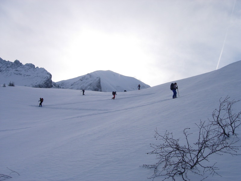 dscn7413.jpg
