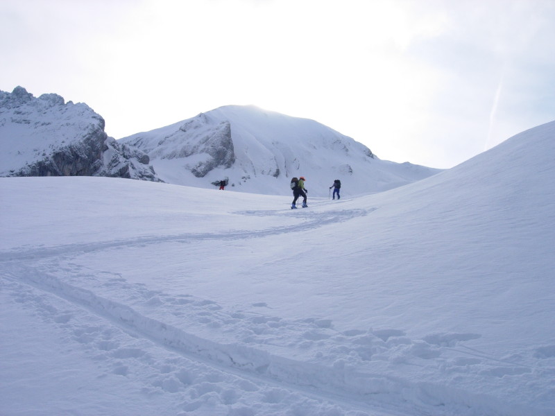 dscn7416.jpg