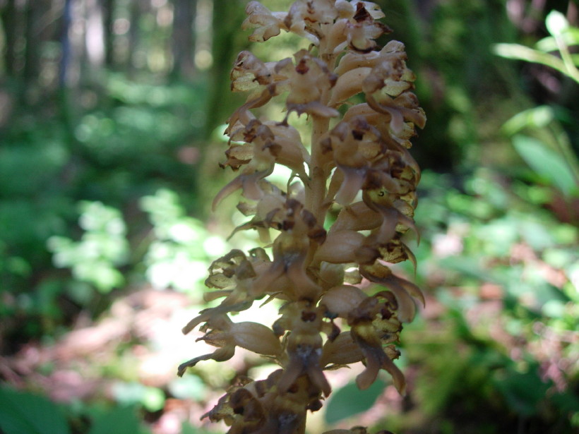dscn7968.jpg