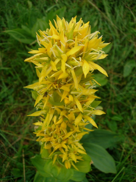 dscn7982.jpg