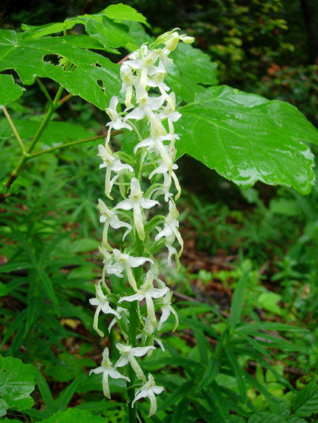 dscn8023.jpg