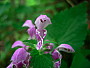 dscn7972