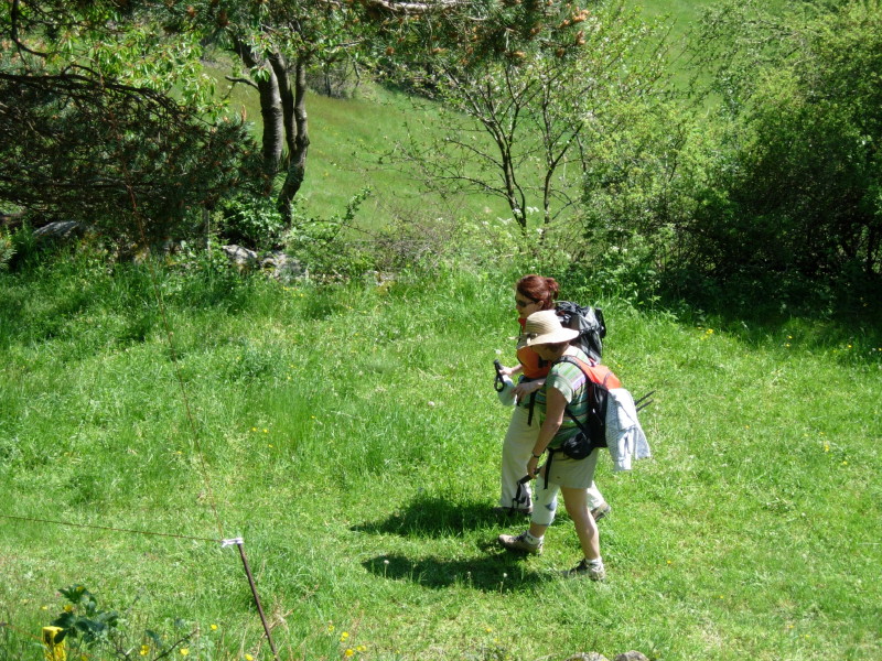 dscn7632.jpg