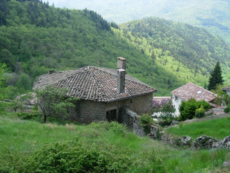 dscn7704.jpg