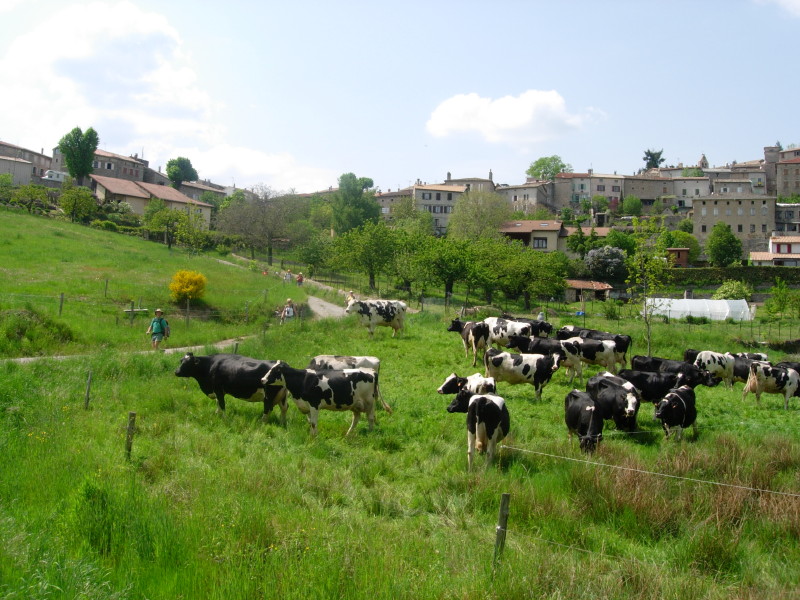 dscn7708.jpg