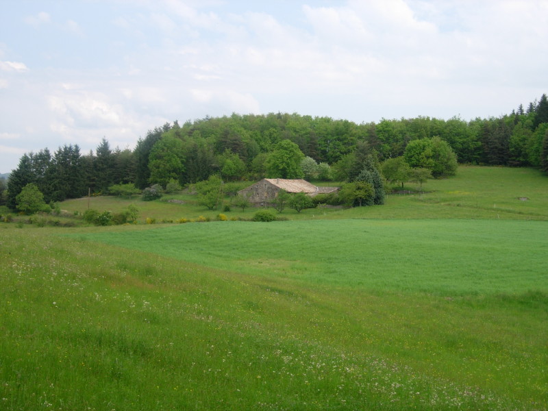 dscn7721.jpg