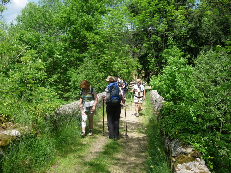 dscn7726.jpg