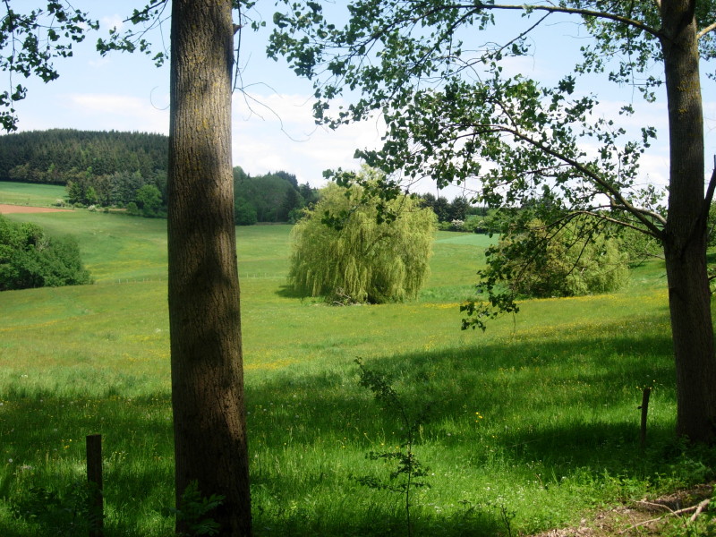 dscn7746.jpg