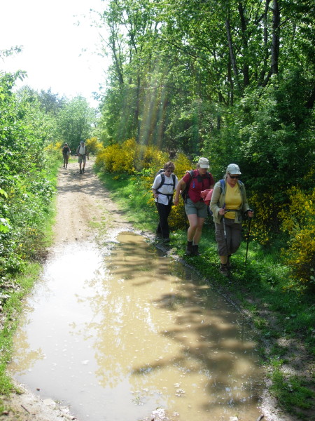 dscn7749.jpg