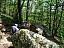Pour agrandir cliquer sur la vignette dscn7703.jpg