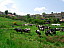 Pour agrandir cliquer sur la vignette dscn7708.jpg